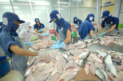 Top 7 công ty chế biến xuất khẩu thủy sản uy tín ở Việt Nam