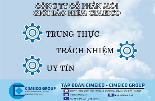 top-8-cong-ty-moi-gioi-bao-hiem-lon-nhat-tai-viet-nam-5