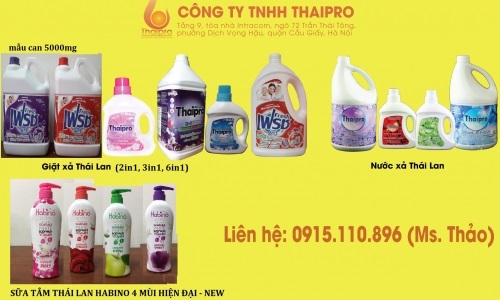 top-8-cong-ty-nhap-khau-hang-thai-lan-chinh-hang-uy-tin-4