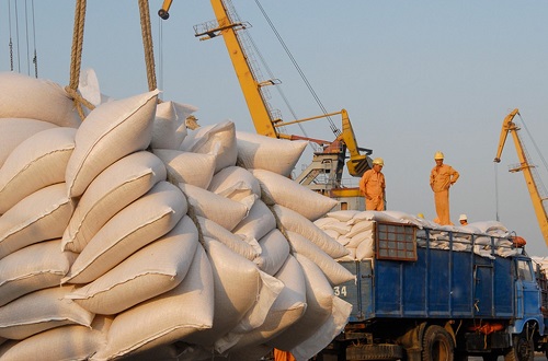 Top 8 công ty xuất khẩu gạo lớn nhất Việt Nam