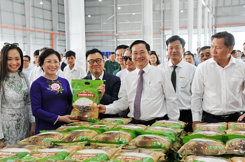 Top 5 công ty cung cấp hạt giống tốt và uy tín nhất Việt Nam