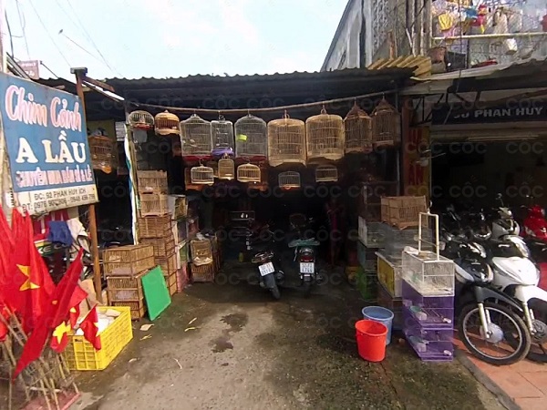 Vào cửa hàng chim cảnh Hồng Nhung 2, chợ chim cảnh thú cưng lớn nhất Sài  Gòn - YouTube