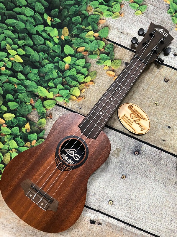 dia-chi-mua-dan-ukulele-tphcm-2