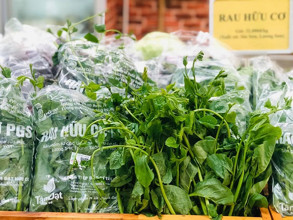 Top 10 địa chỉ bán rau hữu cơ uy tín nhất tại Hà Nội